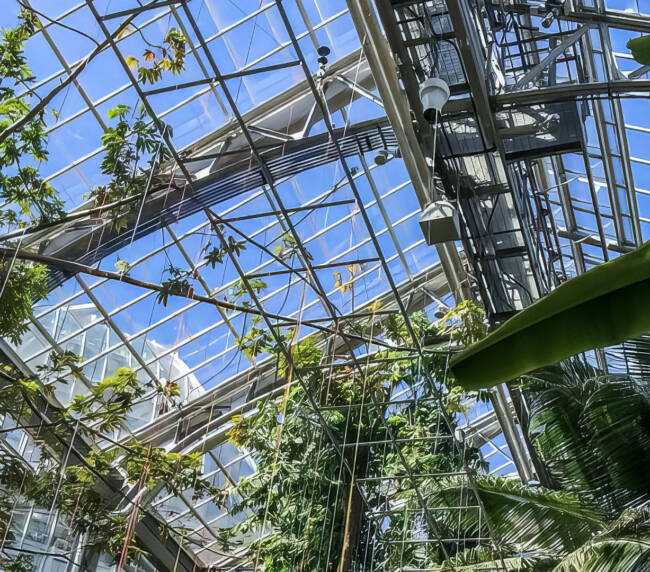 destratification fans for Botanical Gardens