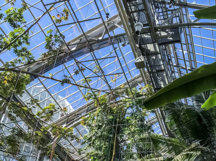 destratification fans for Botanical Gardens